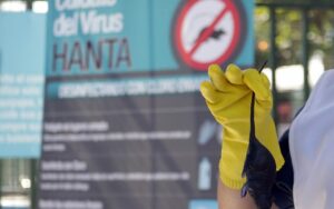 Minsal alerta sobre aumento en casos de virus Hanta: cifras de 2019 superan media de años previos