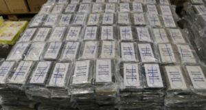Incautan récord de cocaína en Alemania en contenedor procedente de Uruguay