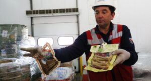 Huevos descompuestos, salame y carne de cerdo: Aduanas logra inédita incautación que venía de China