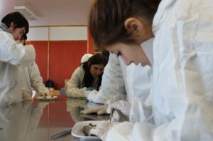 Capacitan a estudiantes de Acuicultura en anatomía y salud de salmones