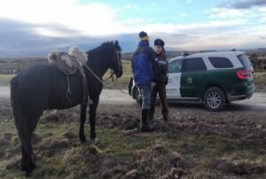 Carabineros realizó campaña preventiva de abigeato de cara a fiestas patrias