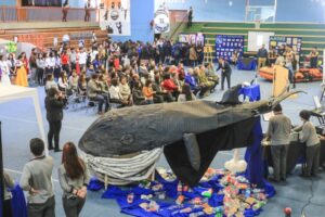 Liceo María Behety exhibió sus especialidades en exposición