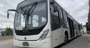 ¿Buscas comprar un bus, auto, carritos de comida, vinos o chalas Zico?: Aduanas rematará 800 lotes