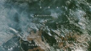 Están quemando el pulmón del planeta
