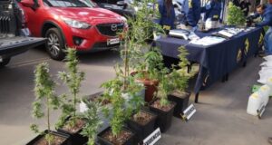 Pasta base, cocaína y marihuana: incautan $3 mil millones en droga tras desbaratar clan familiar