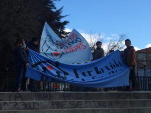Realizan manifestación por la vida y la familia en Punta Arenas