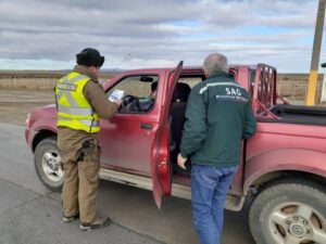 Carabineros y SAG realizaron controles contra abigeato