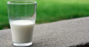 Recepción nacional de leche reporta baja en inicio de segundo semestre: clima podría ser el causante