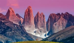 Destino Torres del Paine lideró crecimiento turístico en julio