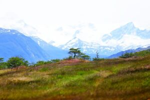 Fueguinos piden mayor apoyo del Estado para la isla más grande de Chile