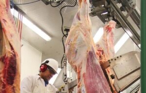 Ganadería regional podría aumentar envíos a China