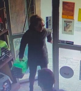 Cámaras captaron a mujer abandonando gato en tienda de mascotas