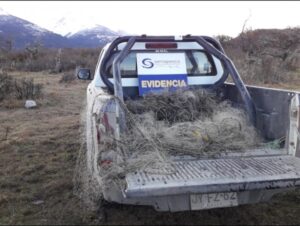 Incautan redes de pesca en Última Esperanza