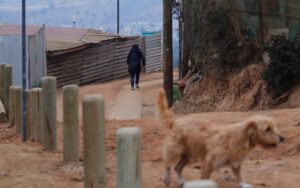 Critican medidas y rol del Gobierno en acceso a la vivienda ante aumento de campamentos