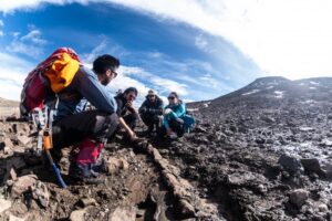 Descubren en Magallanes las primeras pruebas del fin de los dinosaurios en Chile