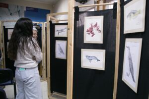 Comenzó exposición “Ilustrando la biodiversidad marina del fin del mundo”