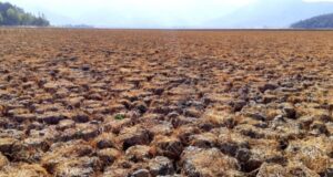 Gobierno estudia bombardear nubes para generar lluvia y enfrentar sequía