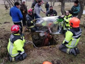 Bomberos rescató a caballo que cayó a un pozo
