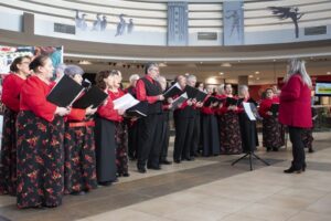 Adultos mayores de Punta Arenas realizarán presentaciones ‘dieciocheras’