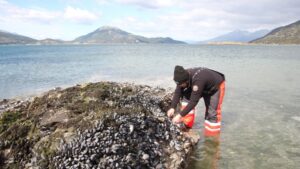 Investigadores realizarán estudio sobre la marea roja