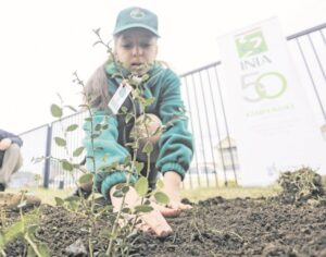 Alumnos y vecinos de Villa Las Nieves realizan plantaciones de 20 árboles