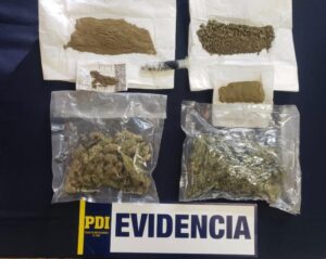 PDI incautó marihuana en el Aeropuerto de Punta Arenas