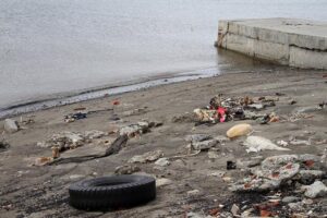 Medioambiente y cambio climático