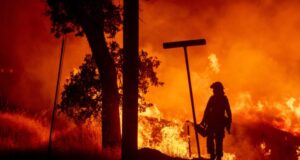 Declaran alerta temprana preventiva para 4 regiones por altas temperaturas y posibles incendios