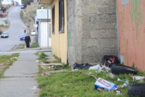 Alcalde reconoce  lentitud en recolección de basura