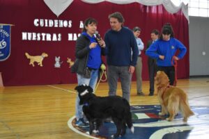 Dos organizaciones sin fines de lucro de Magallanes ganaron fondo concursable