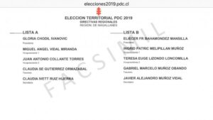 Democracia Cristiana magallánica dispuso cinco locales de votación para elecciones internas