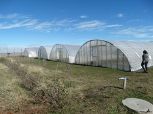 La importancia de la economía circular en la producción agrícola y ganadera