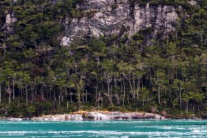 Nueva tecnología para investigación oceanográfica en la Región de Magallanes