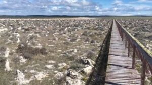 Inauguran Parque de los Estromatolitos de Tierra del Fuego