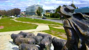 ¡Feliz cumpleaños, Magallanes!