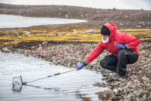 Invitan a estudiantes de pregrado a efectuar sus tesis con estadía en la Antártica