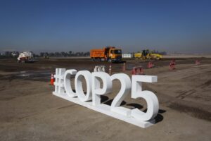 Encargada de la ONU destaca trabajos por COP25 en Chile