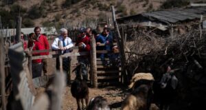 Gobierno asegura que Chile atraviesa la peor sequía conocida en la historia de la agricultura