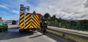 Fogata mal apagada originó incendio de árbol y pasto