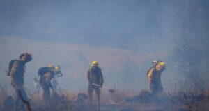 Temporada de incendios forestales: Conaf anuncia masiva incorporación de brigadistas y aeronaves
