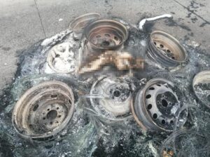 Se encontró animal muerto en medio de barricada