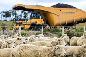 La tasa de desocupación regional fue de 3,9%  y no registró variación respecto de 2018