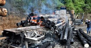 Preparan juicio oral contra comunero mapuche acusado por ataque incendiario en predio de Lautaro