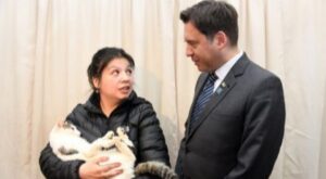 Masiva concurrencia tuvo operativo de esterilización para gatos