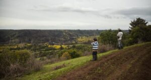 Dirigentes mapuches desmienten a Sichel por compras de tierras por parte de Conadi