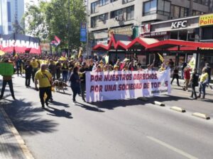 Cientos de personas se suman a marcha convocada por movimiento NO+AFP