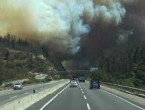 Declaran Alerta Roja para Valparaíso y Casablanca por incendios forestales: 400 hectáreas consumidas