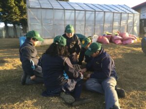 Fomentar el autocultivo de hortalizas desde la infancia, es lo que busca el programa Vive Tu Huerto