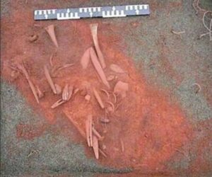 Analizaron restos de ajuar funerario Selknam