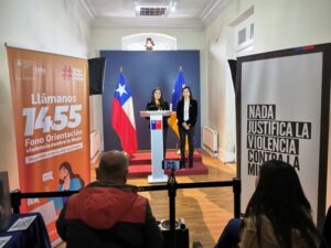 Seremi de la Mujer (s) informa que 328 usuarias han accedido al acompañamiento integral